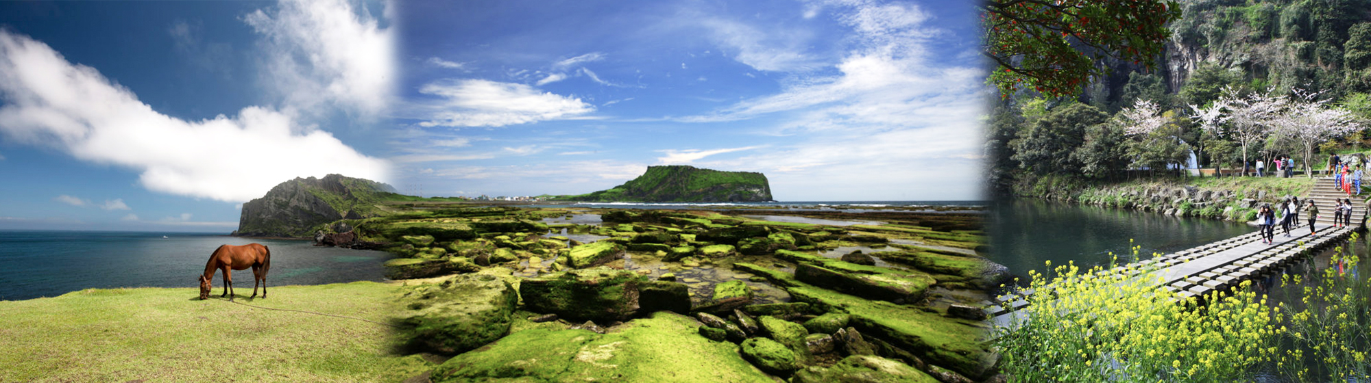 Jeju Island tour Exclusive Tour Korea - Private Day