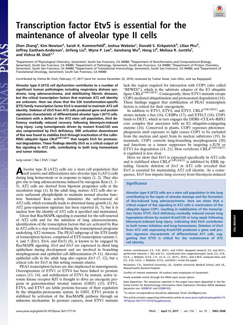 Development of the Human papillomavirus infection