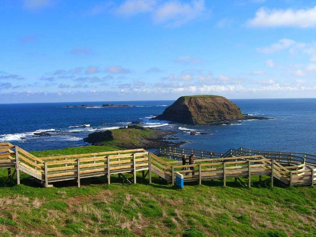 Phillip Island Day Trip from Melbourne Tours4Fun