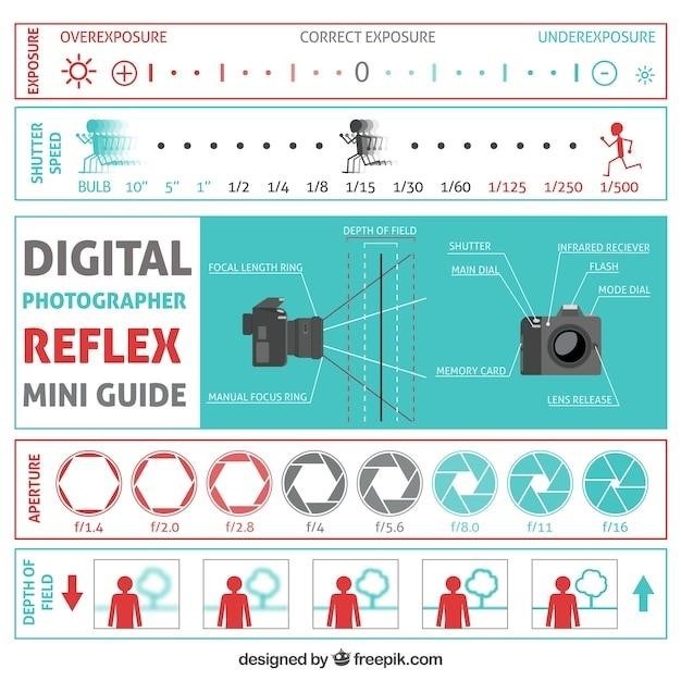 nikon d7100 user manual